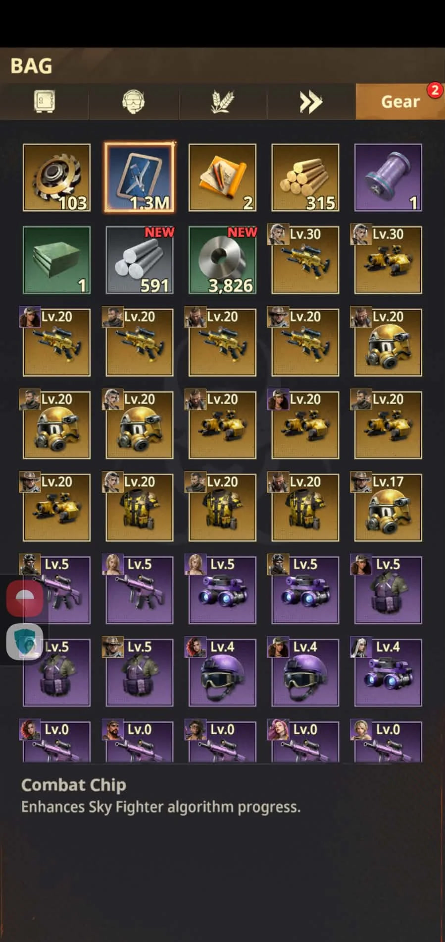 Fighter Combat Chips in the Bag and their item description